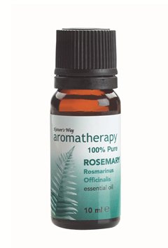 Rosemary (Rosemarinus Officinalis) - herb